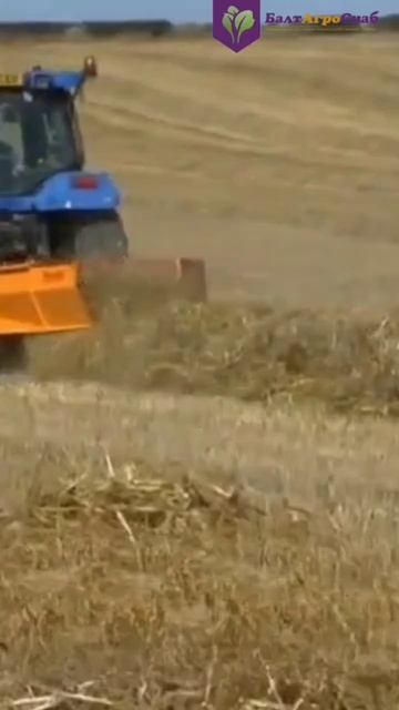 Teagle SUPER-TED смотреть онлайн