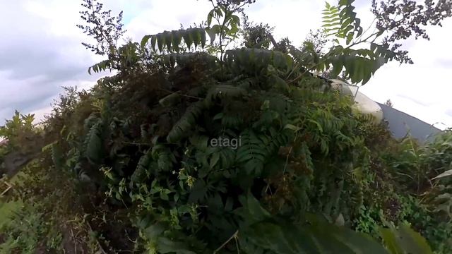 9763052 смотреть онлайн