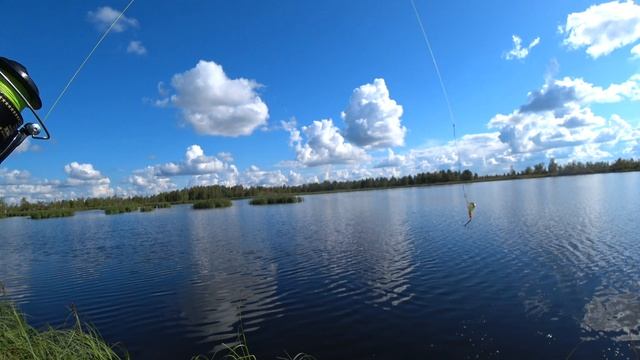 рыбалка 31 августа на щуку смотреть онлайн