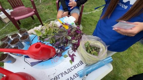 Посетил фестиваль #ТриЧетыре 2025 в Волгограде!