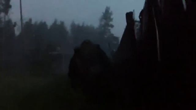 Таволжанка 2023. Всё самое интересное в моём Телеграмм канале -  Https://t.me/S31rusZOV