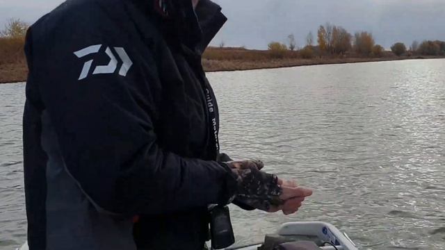 река Ахтуба, Харабылык , Мангут , октябрь 2021 год , база Причал Рыбака. смотреть онлайн