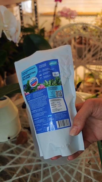 Если у орхидеи желтеют листья, то пора бить тревогу! Срочная пересадка и подкормка Цимус 303523673 смотреть онлайн