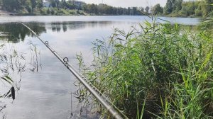 ловля щуки на Джеркбейты