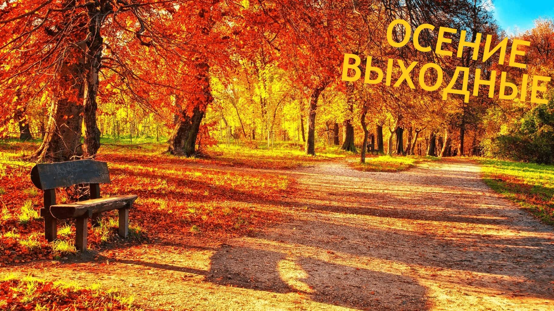 ОСЕНИЕ ВЫХОДНЫЕ (Часть 3) смотреть онлайн