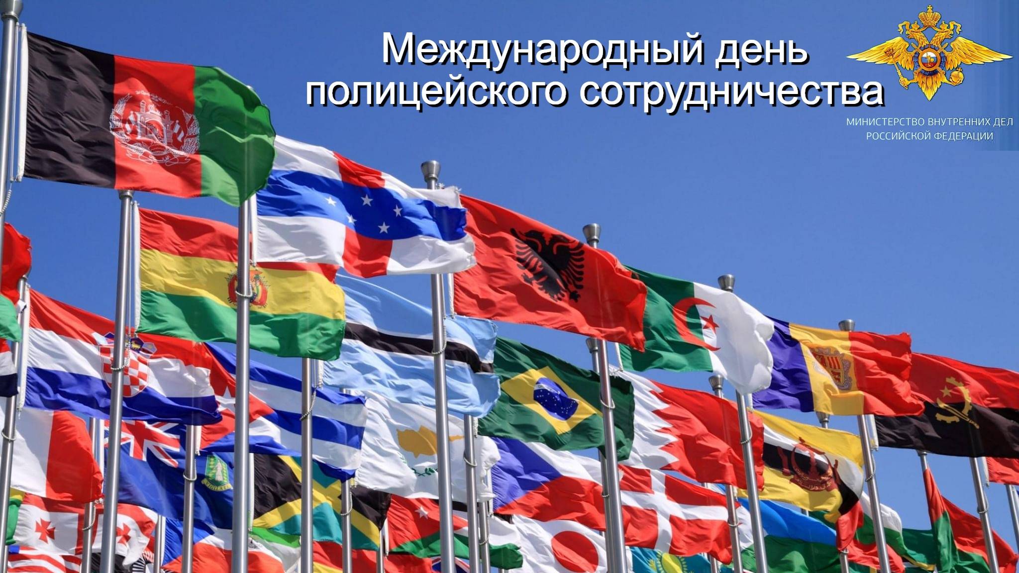 Международный день полицейского сотрудничества смотреть онлайн