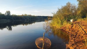 Осенняя рыбалка на Вятке. Много чехони, лещ и язь. Тихая охота, сбор опят и рыжиков.