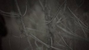 Величайшие загадки истории 6 сезон 4 серия (документальный сериал, 2024)