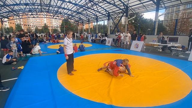 Самбо в помощь