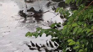 МУЗЫКА ДЛЯ ДУШИ,,А ДОЖДЬ ВСЁ ЛЬЁТ,,Музыка Сергей Грищук