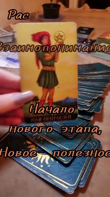 9 сентября.
Карта дня Таро. 

ПАЖ  ПЕНТАКЛЕЙ. 

♦️♦️♦️♦️
Обережный цвет-
Оливковый.
☘️☘️☘️☘️
Число у