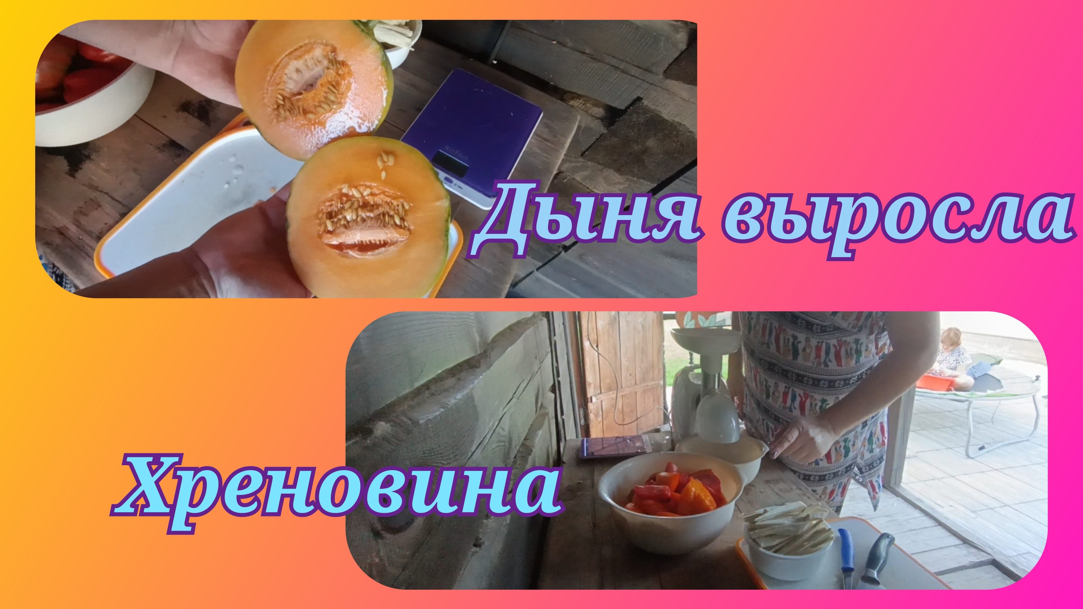 Дыня.Хреновина за зиму👍 смотреть онлайн