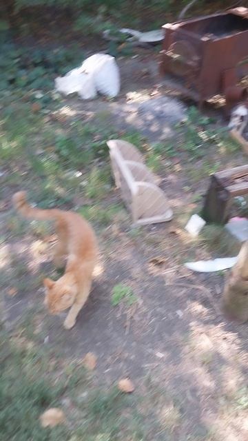 Драка в разгаре смотреть онлайн