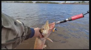 Рыбалка на оби, друг обловил