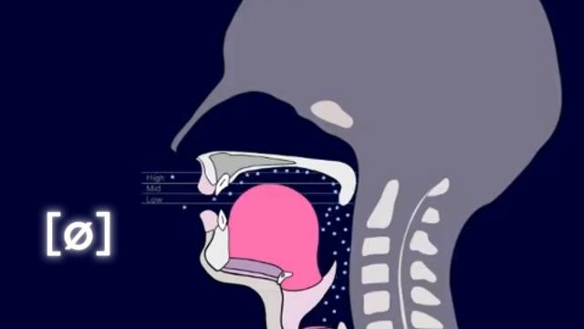 Звук ø на практике:  мастер-класс по французской фонетике