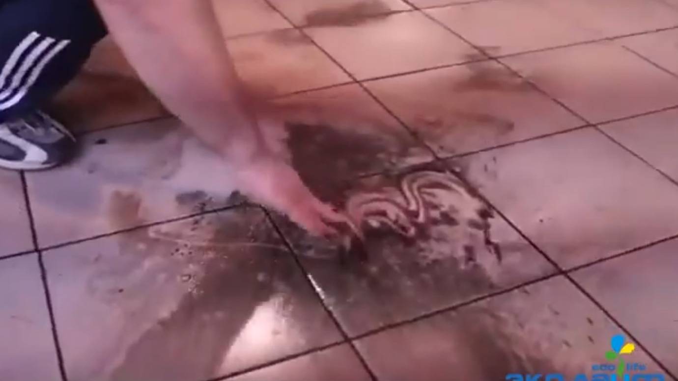 Очистка масла с пола средством Эко Лайф Eco Life