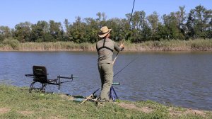 В этой реке ловлю разную рыбу, рыбалка 2025 осенью