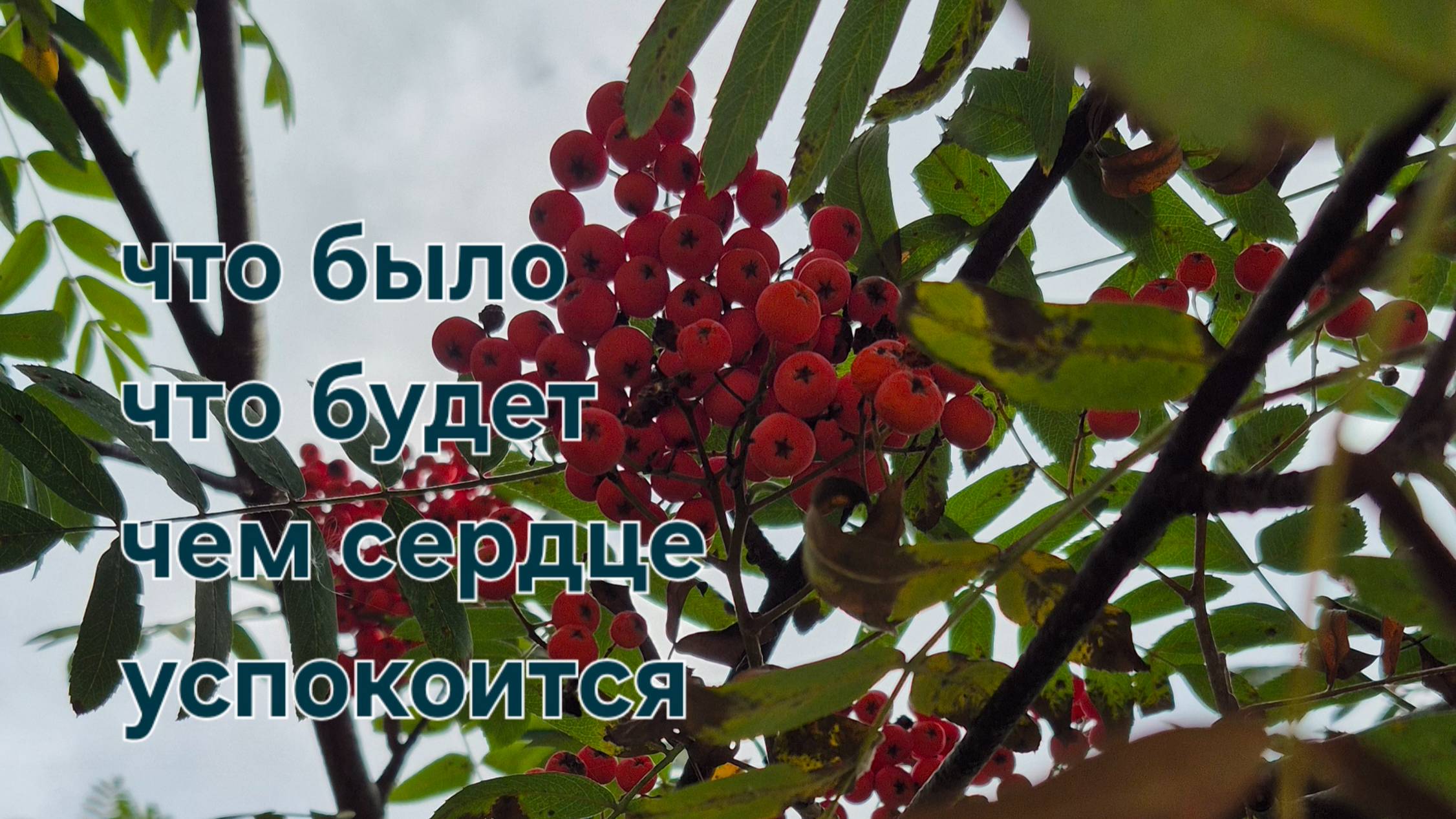 что было , что будет, чем сердце успокоится смотреть онлайн