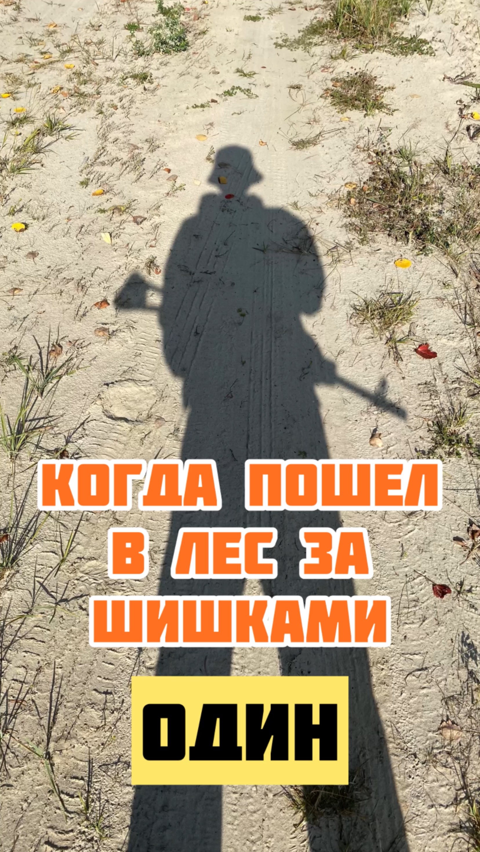 Когда идешь один в лес за шишками…) смотреть онлайн