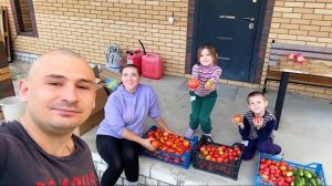 Такого мы не ожидали! Собрали урожай. Ремонт продолжается. Строим дом в деревне. Жизнь простых людей