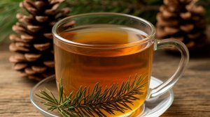 ПОЛЕЗНЫЙ СОСНОВЫЙ ЧАЙ.