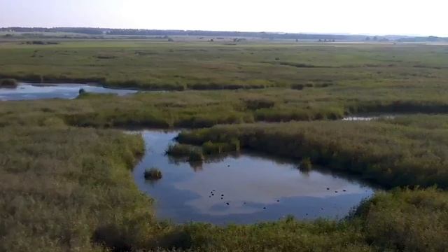 Открытие охоты на утку в Тамбовской области 2023 смотреть онлайн