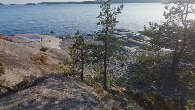 ТЕЛЕБОК (Тележка из коробка)