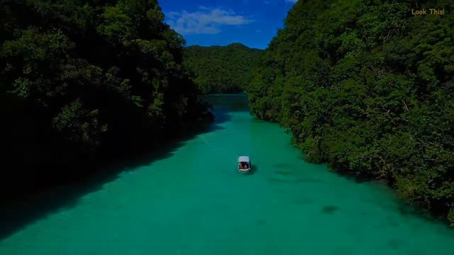 РЕЛАКС ПЕСНЯ ПРИРОДА __ Dubai (Hussein Arbabi Remix) DNDM 🍃🔥2023(720P_HD)