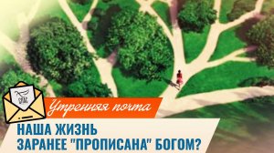 Наша жизнь заранее "прописана" Богом? / Утренняя почта