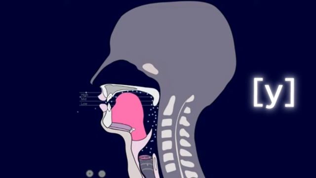 Французский шик:  Секрет звука y —  раскрой свой внутренний парижанин! 🇫🇷