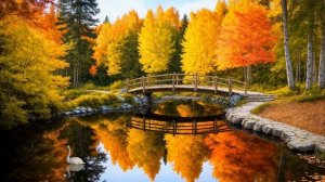 ОСЕННИЙ парк / СЕНТЯБРЬ под гитару / Прогулка не СПЕША / Ещё тёплое СОЛНЦЕ но уже ПРОХЛАДНЫЙ воздух