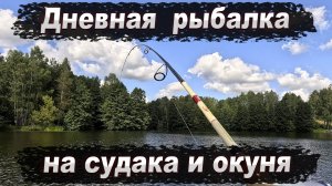 Дневная рыбалка на судака и окуня