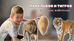 ПАРК С НАСТОЯЩИМИ ЛЬВАМИ И ТИГРАМИ | Прогулка в зоопарк диких животных