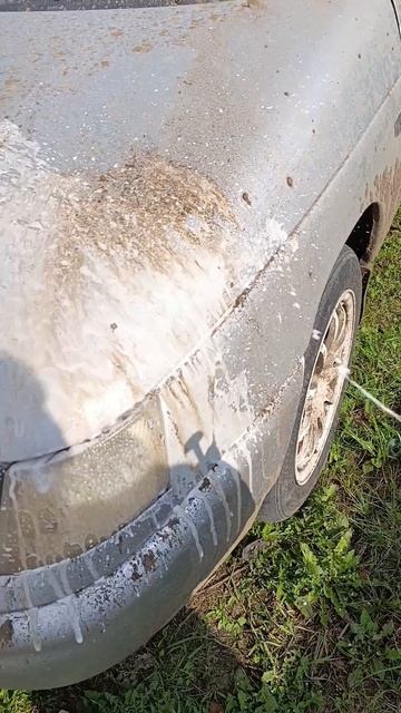 CartechPRO мойка в четыре фазы