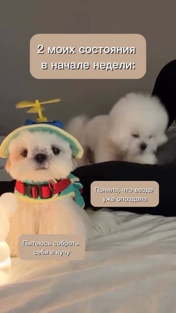 А как ваше состояние? 😜