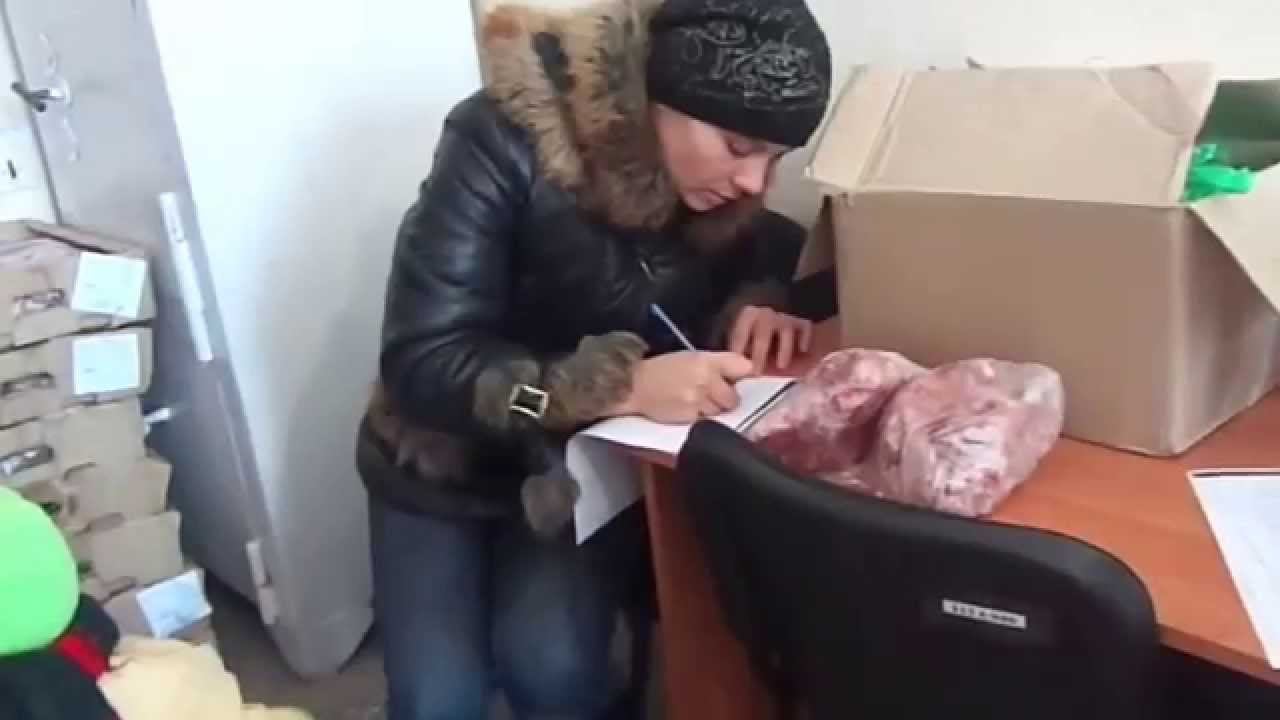 Раздача гум.помощи жителям Петровское ЛНР. смотреть онлайн