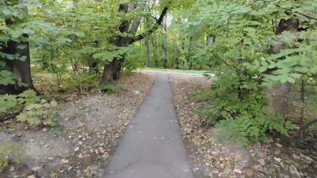 Video5330270833443110001