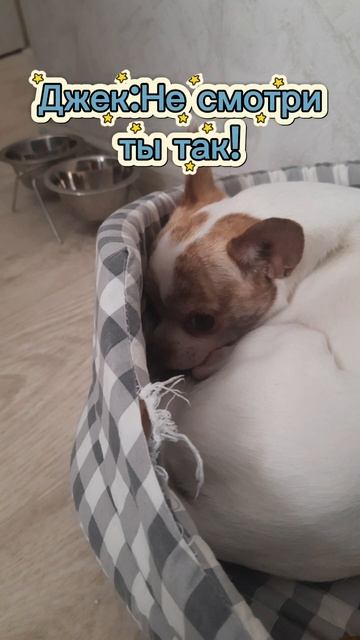 1000028032.mp4 смотреть онлайн