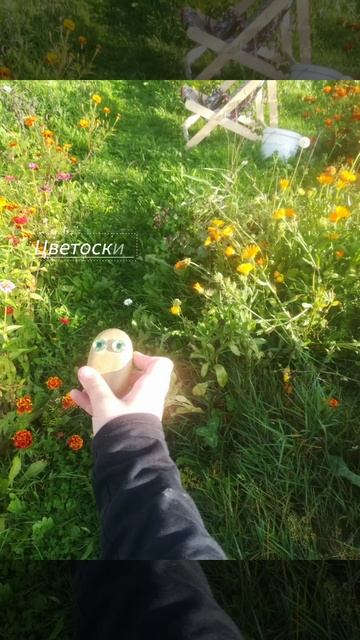 Выходной барти!!