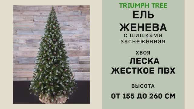 Triumph Tree - ОБЗОР искусственной ели Женева с шишками заснеженная смотреть онлайн