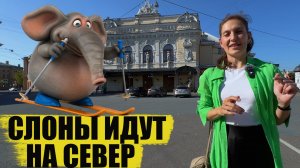 Петербургские слоны