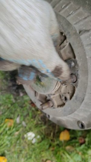 снятие тормозного барабана автомобиля