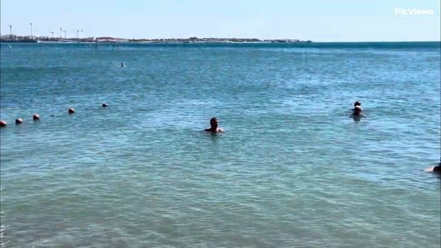 ГЕЛЕНДЖИК пляж Приветливый берег сегодня 8 сентября 2025. Море и погода в Геленджике сейчас. смотреть онлайн