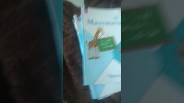VID-20250827-WA0033.mp4 смотреть онлайн