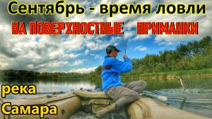 ЛОВЛЯ ХИЩНИКА НА СПИННИНГ В СЕНТЯБРЕ НА РЕКЕ САМАРА/РЫБАЛКА НА ЩУКУ, ОКУНЯ И ЖЕРЕХА/ЛОВЛЯ НА ВОБЛЕРЫ