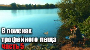 Рыбалка на фидер на реке Быстрая Сосна в сентябре