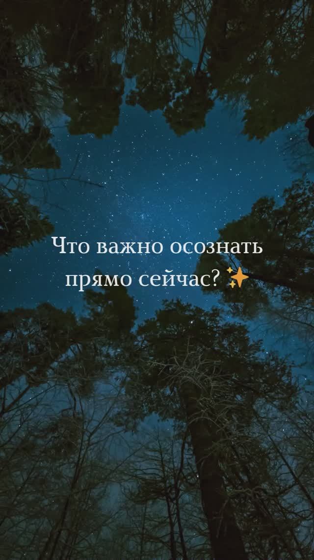 ✨Таро о тебе прямо сейчас✨ смотреть онлайн