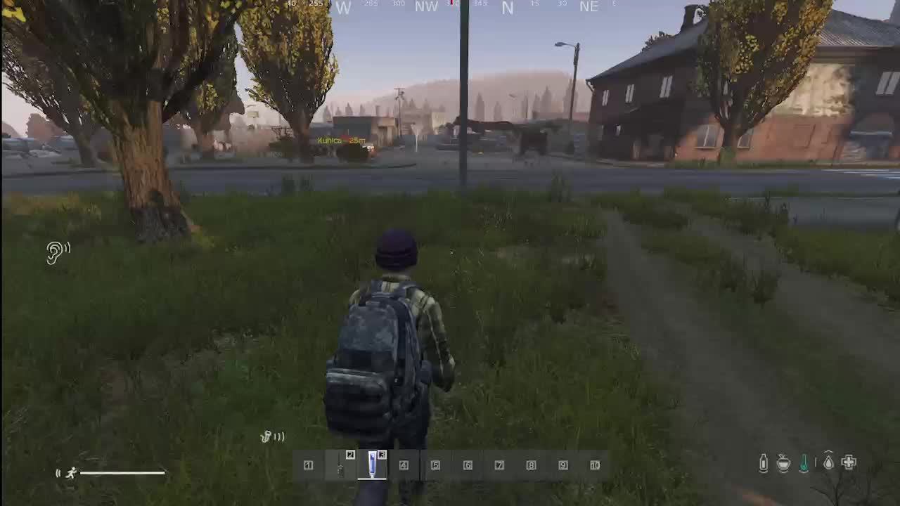 DayZ Fearless PVE Chill