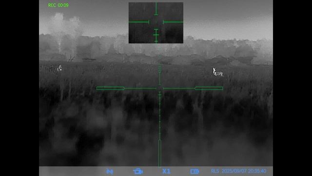 Новый проект 2 смотреть онлайн
