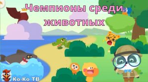 Игра "BabyBus. Чемпионы среди животных". Детская познавательная игра. (бейбибас, панда Кики).